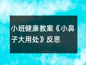 小班健康教案《小鼻子大用處》反思