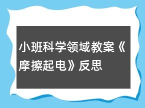 小班科學(xué)領(lǐng)域教案《摩擦起電》反思