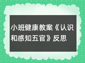 小班健康教案《認識和感知五官》反思