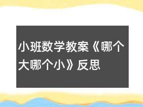 小班數(shù)學(xué)教案《哪個大、哪個小》反思