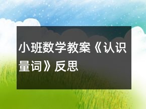 小班數(shù)學(xué)教案《認(rèn)識(shí)量詞》反思