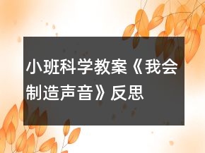 小班科學(xué)教案《我會制造聲音》反思
