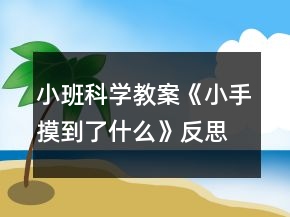 小班科學(xué)教案《小手摸到了什么》反思