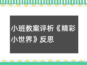 小班教案評析《精彩小世界》反思