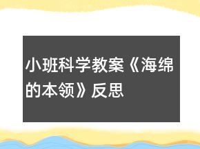 小班科學(xué)教案《海綿的本領(lǐng)》反思