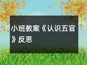 小班教案《認識五官》反思