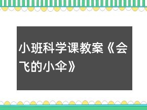 小班科學課教案《會飛的小傘》