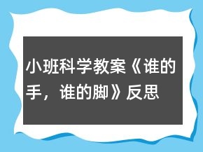 小班科學教案《誰的手，誰的腳》反思