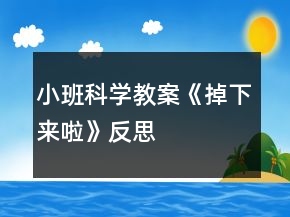 小班科學(xué)教案《掉下來(lái)啦》反思