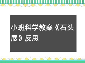 小班科學教案《石頭展》反思
