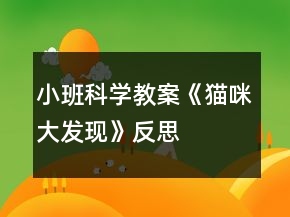 小班科學(xué)教案《貓咪大發(fā)現(xiàn)》反思