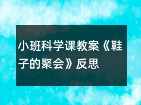 小班科學課教案《鞋子的聚會》反思
