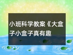 小班科學教案《大盒子、小盒子真有趣》反思