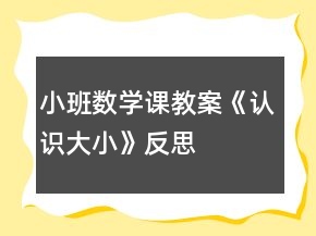 小班數(shù)學(xué)課教案《認(rèn)識(shí)大小》反思