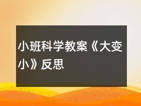 小班科學(xué)教案《大變小》反思