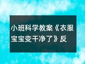 小班科學(xué)教案《衣服寶寶變干凈了》反思
