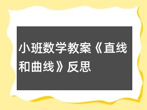 小班數(shù)學(xué)教案《直線和曲線》反思