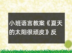 小班語(yǔ)言教案《夏天的太陽(yáng)很頑皮》反思