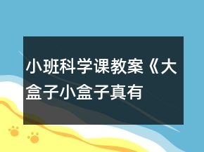 小班科學課教案《大盒子、小盒子真有趣》反思