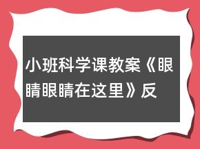 小班科學(xué)課教案《眼睛眼睛在這里》反思