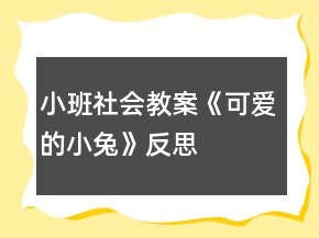 小班社會(huì)教案《可愛的小兔》反思
