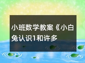 小班數學教案《小白兔認識“1”和許多》反思