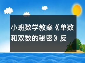 小班數學教案《單數和雙數的秘密》反思