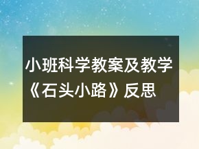 小班科學教案及教學《石頭小路》反思
