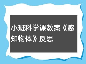 小班科學(xué)課教案《感知物體》反思
