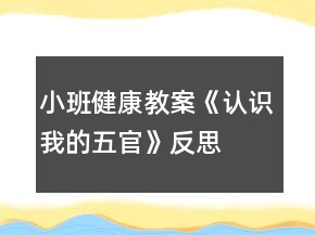 小班健康教案《認(rèn)識(shí)我的五官》反思