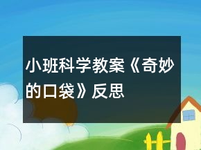小班科學(xué)教案《奇妙的口袋》反思