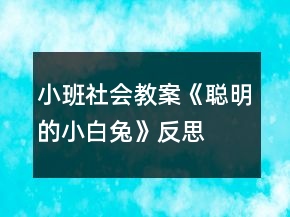 小班社會教案《聰明的小白兔》反思
