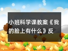小班科學(xué)課教案《我的臉上有什么》反思