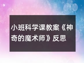 小班科學(xué)課教案《神奇的魔術(shù)師》反思