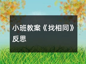 小班教案《找相同》反思