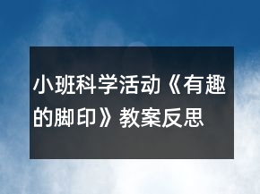 小班科學活動《有趣的腳印》教案反思