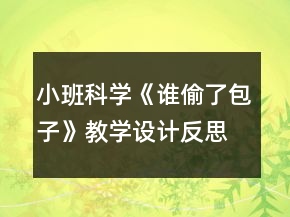 小班科學(xué)《誰偷了包子》教學(xué)設(shè)計(jì)反思