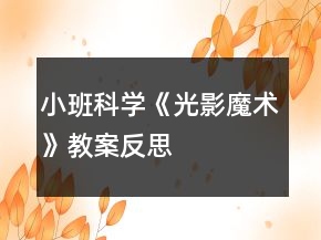 小班科學(xué)《光影魔術(shù)》教案反思