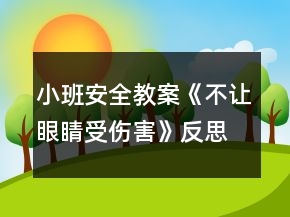 小班安全教案《不讓眼睛受傷害》反思