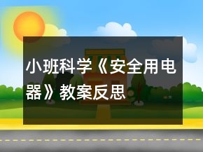 小班科學《安全用電器》教案反思
