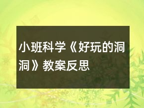 小班科學《好玩的洞洞》教案反思