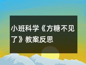 小班科學(xué)《方糖不見了》教案反思