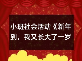 小班社會(huì)活動(dòng)《新年到，我又長(zhǎng)大了一歲》教學(xué)設(shè)計(jì)反思