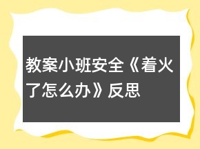 教案小班安全《著火了怎么辦》反思
