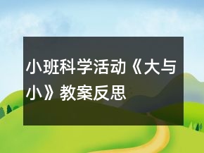 小班科學(xué)活動(dòng)《大與小》教案反思