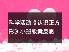 科學(xué)活動(dòng)《認(rèn)識(shí)正方形》小班教案反思