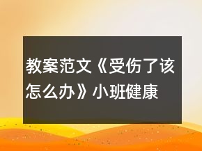 教案范文《受傷了該怎么辦》小班健康活動(dòng)反思