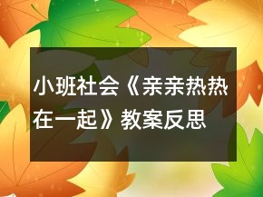 小班社會《親親熱熱在一起》教案反思