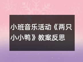小班音樂活動《兩只小小鴨》教案反思