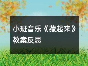 小班音樂《藏起來》教案反思